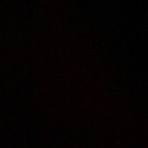 Meet your Posher, Layne